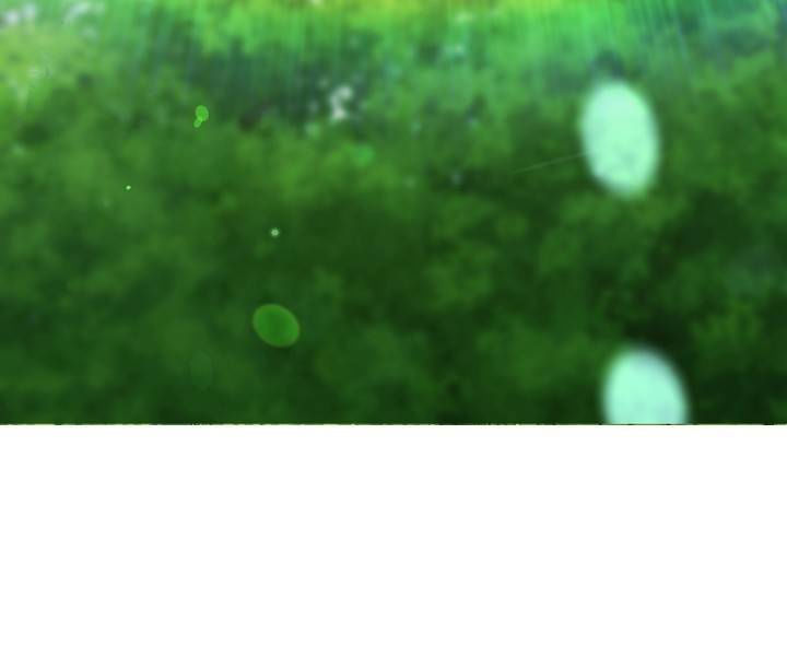 đứa con của rồng chapter 43 89