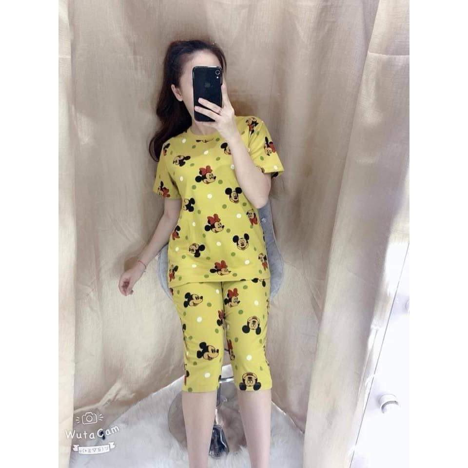 ĐỒ BỘ MAY NƠ THÊU NY THUN HÈ 3 SIZE 40-62KG TÙY CHIỀU CAO