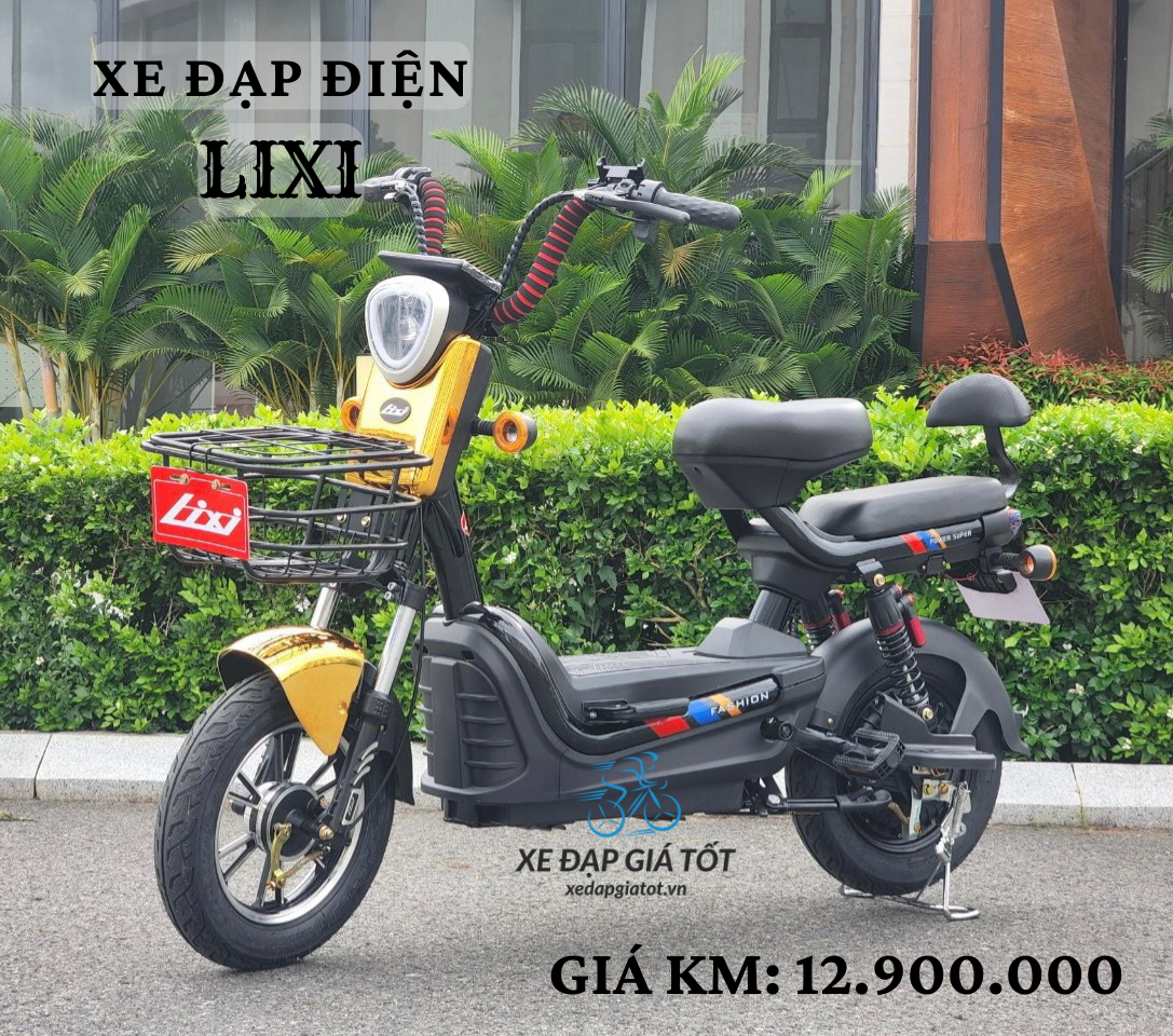 XE ĐẠP ĐIỆN LIXI 48V