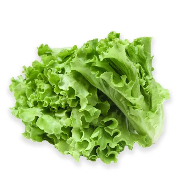 Chỉ Giao Hcm - Xà Lách Hữu Cơ 200G