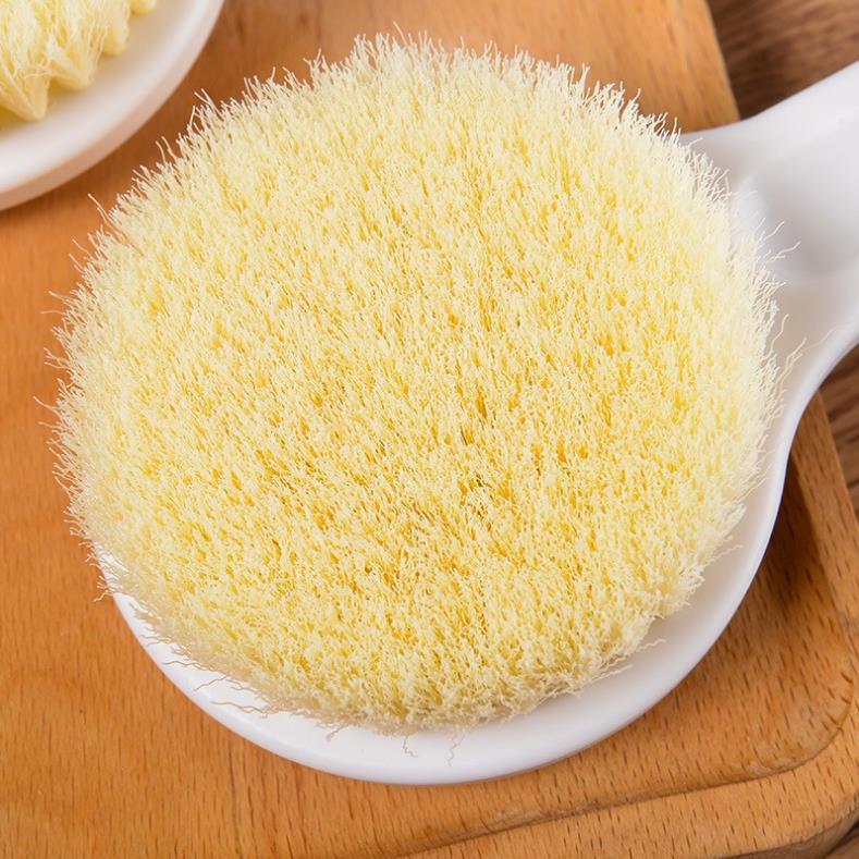 Cây Cọ Lưng, Bàn Chải Chà Lưng Nhật Bản