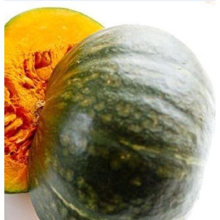 Hạt giống bí đỏ da xanh nhật bản-gói 10 hạt/tặng kèm gói phân bón lót