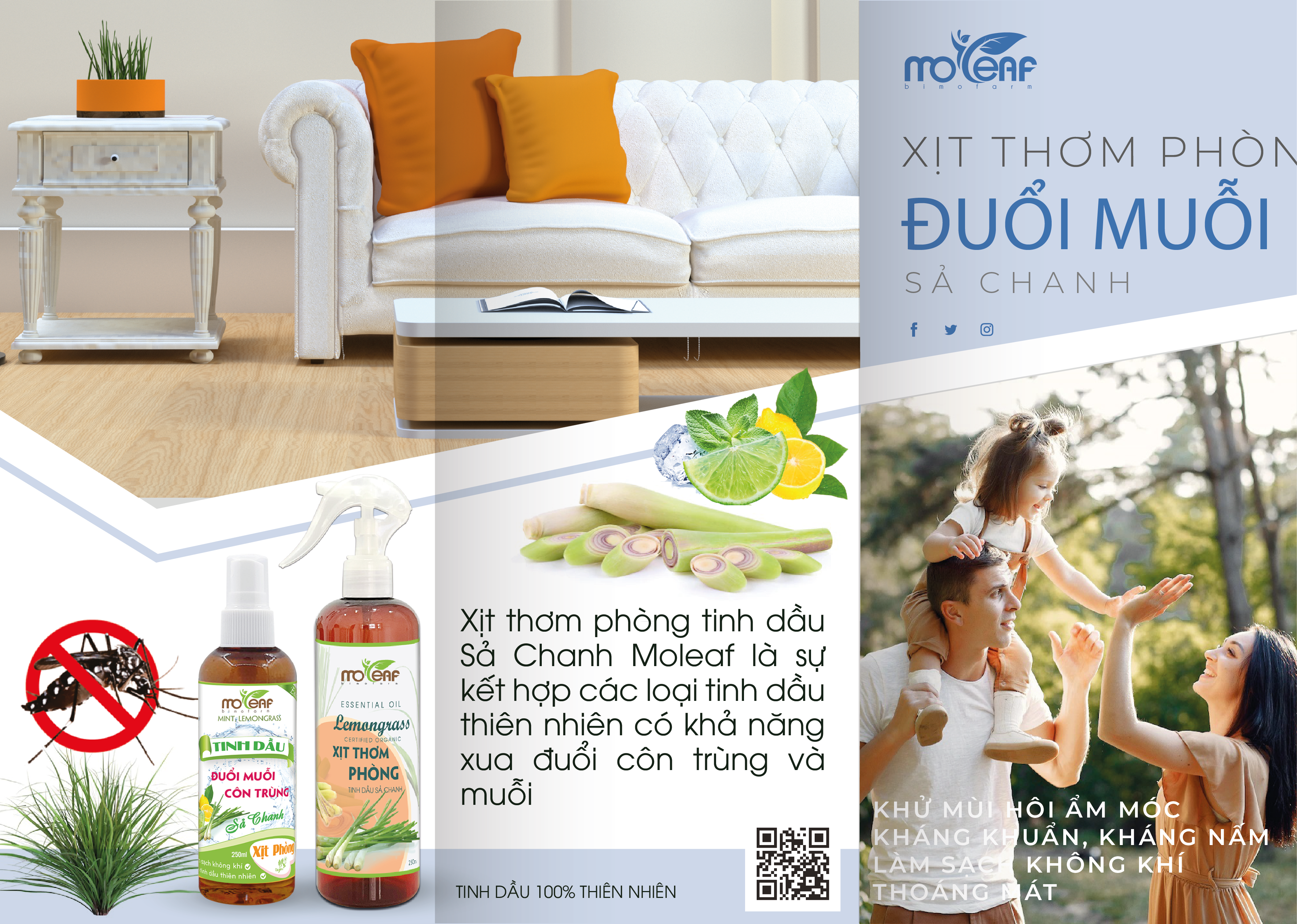 XỊT THƠM PHÒNG Moleaf - Tinh Dầu Sả Chanh, Bạc Hà, Bạch Đàn Chanh, Tràm Gió, Hương Thảo, Quế lọc không khí Đuổi Muỗi & Côn trùng 250ml
