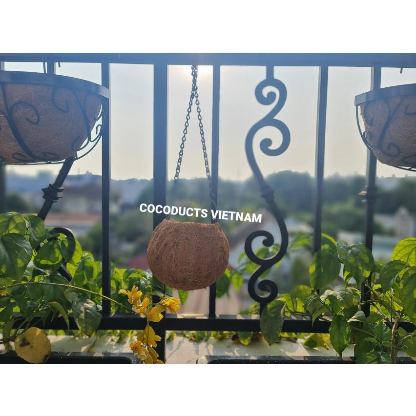 Quả cầu xơ dừa Cocodema