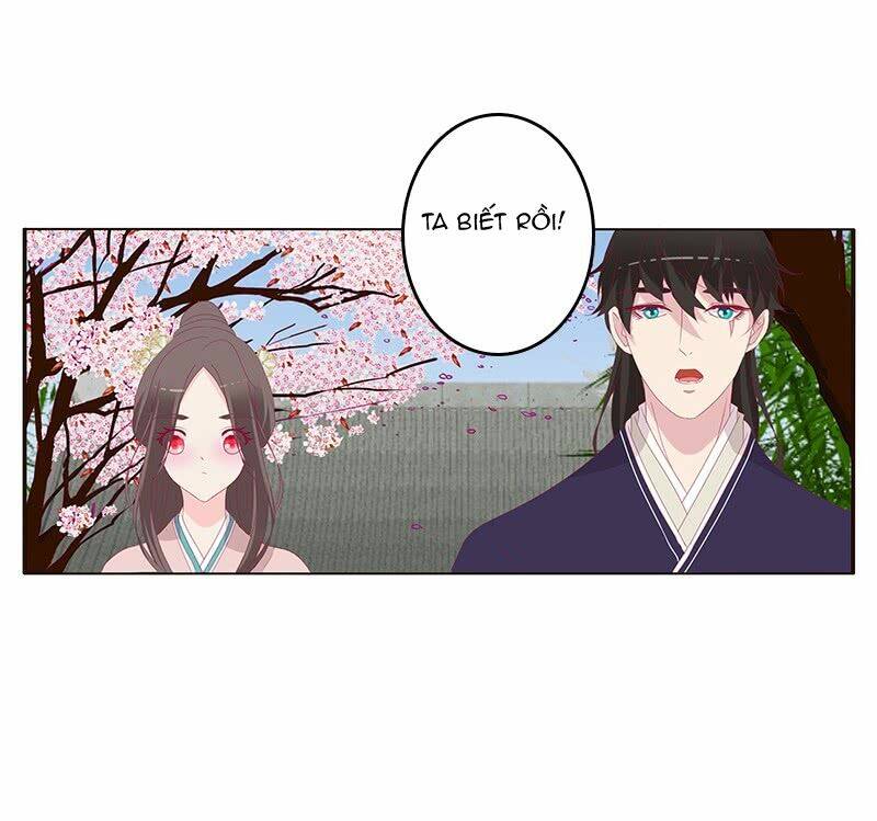 tướng quân mời ra trận chapter 121 24