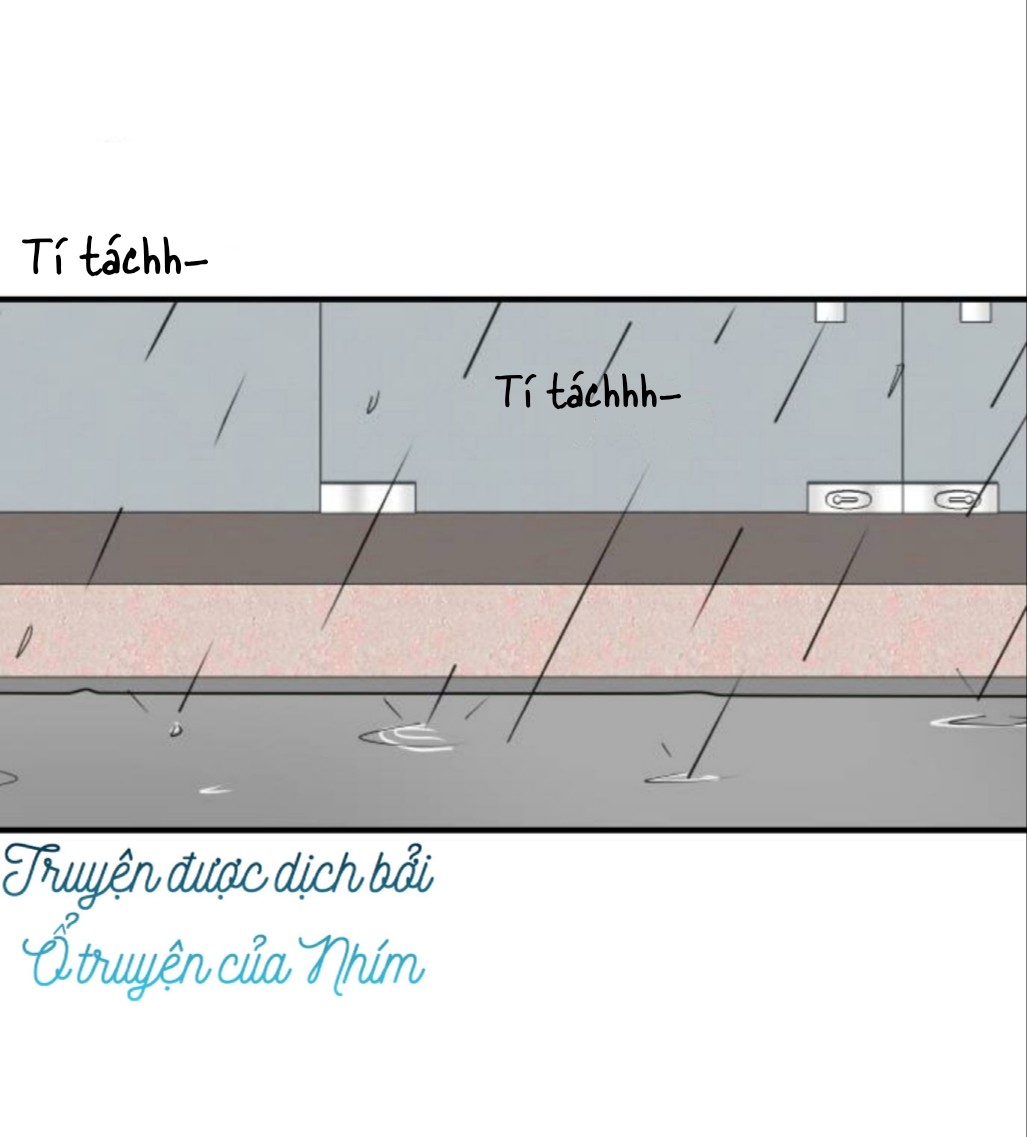 sống chung một nhà chapter 24 19