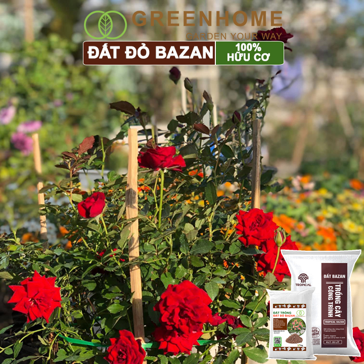 Đất Đỏ Bazan Greenhome, Bao 20 Lít (12kg), Đất Trồng Cây, Bổ Sung Phân Hữu Cơ, Vi Sinh Trồng Hoa Hồng, Kiểng Lá, Rau