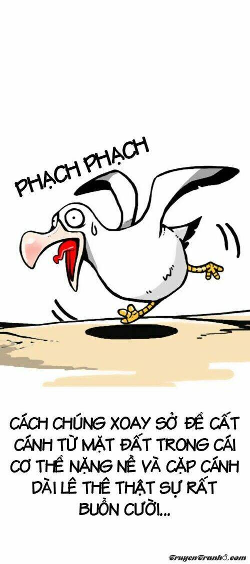 earth, human, and animal chapter 1 15