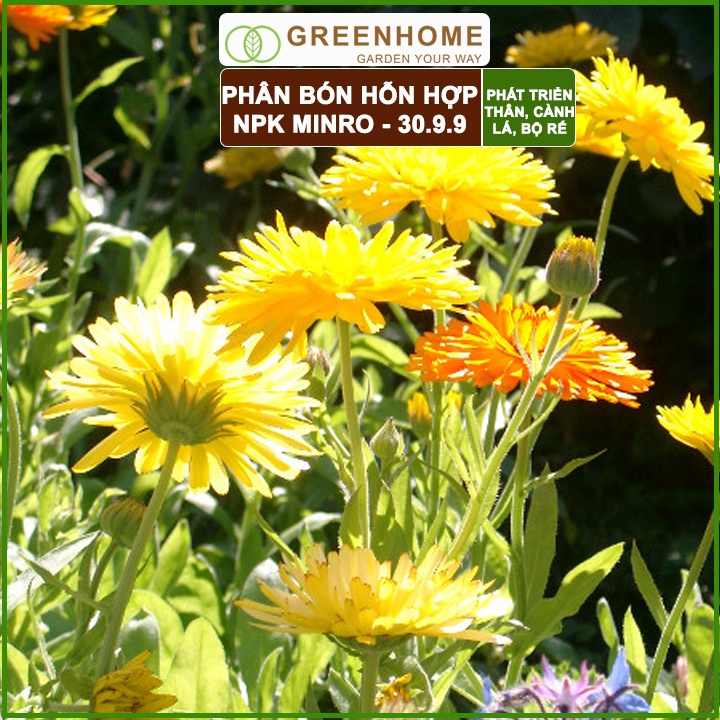 Phân NPK 30-9-9 +TE Greenhome, Minro, Bao 200gr, Phát Triển Nhanh Thân, Cành, Lá, Bộ Rễ Trên Kiểng, Cây Ăn Trái, Củ, Quả
