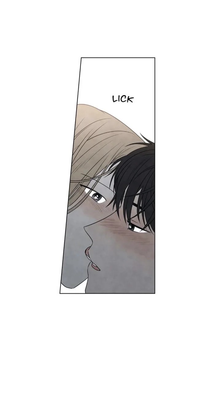 summer solstice point chapter 41 37