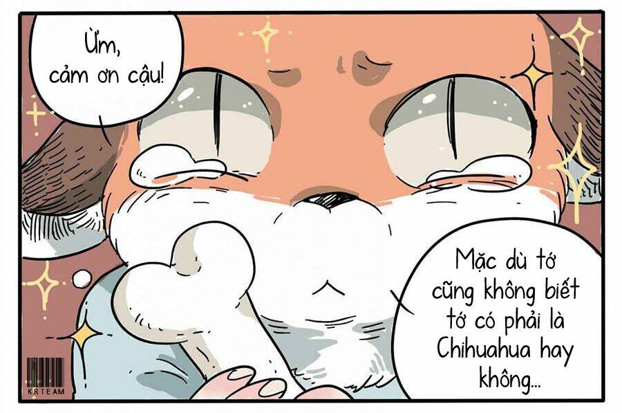 cáo a cát kém tắm chapter 1 17