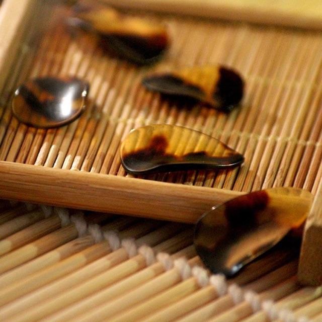 Móng chuyên nghiệp chơi đàn tỳ bà