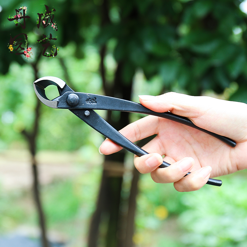 Kìm cạp cây bonsai, cạp tròn cạp xéo hàng nội địa NHẬT BẢN bằng thép đúc nguyên khối-Size 21cm