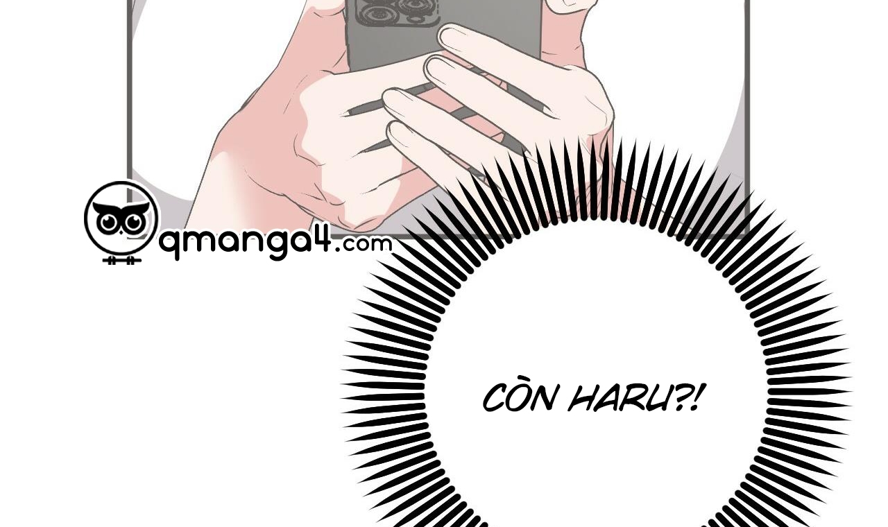 những chú thỏ của hapypy chapter 56 110