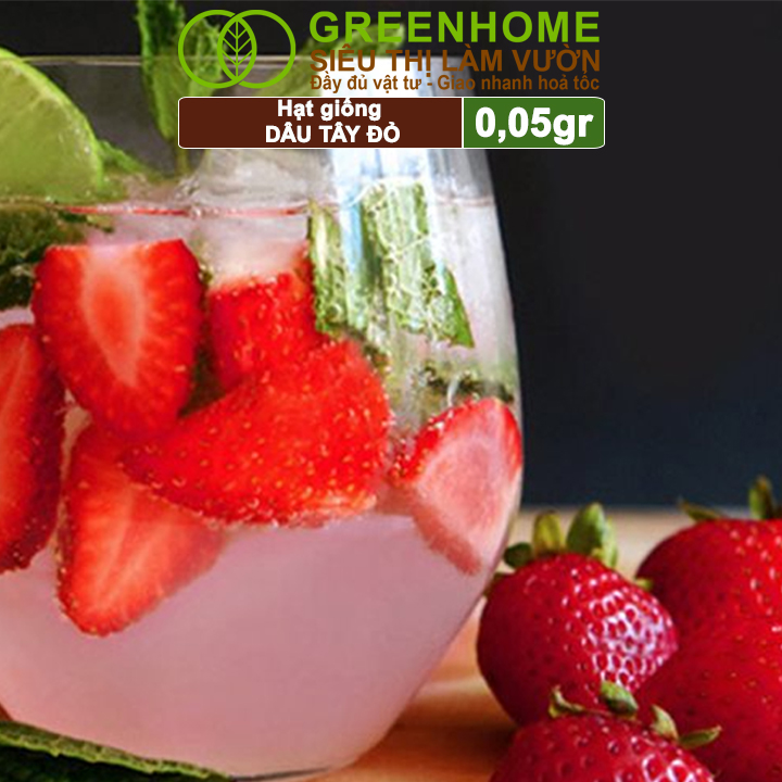 Hạt Giống Dâu Tây Đỏ Greenhome, Gói 0,05gr, Chịu Nhiệt, Quả To, Dễ Trồng, Năng Suất Cao T17