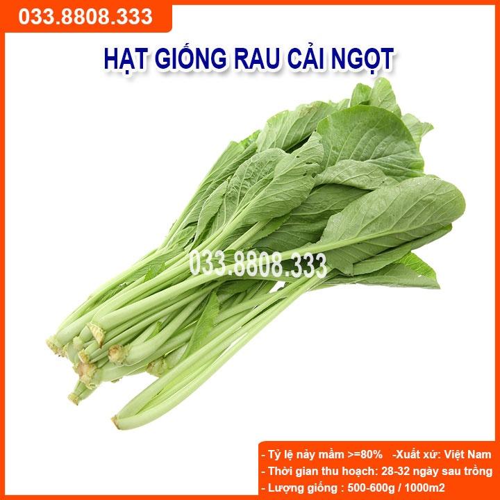 Hạt giống rau cải ngọt 20gram - rau trồng quanh năm