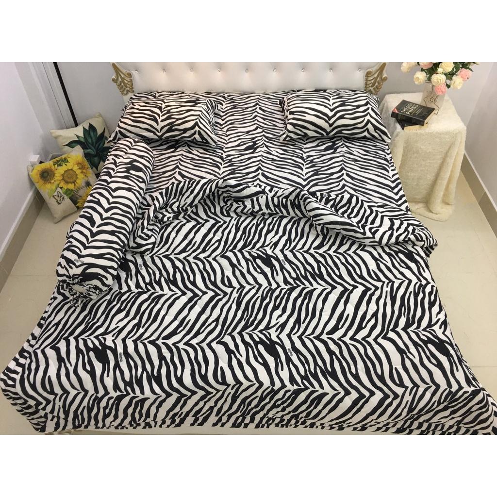 Bộ drap KÈM MỀN thun lạnh Hàn Quốc 5 món