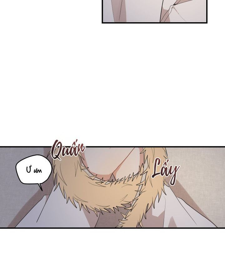 đường hoa liên kiều rơi chapter 25 42