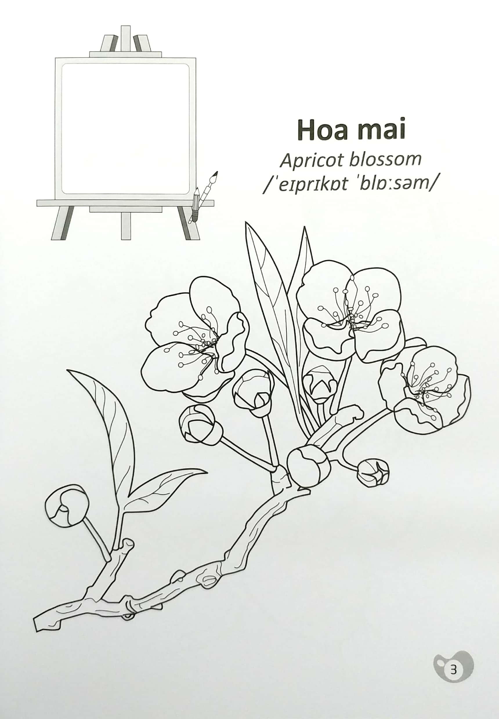 Tô Màu Chúng Mình Tập Làm Họa Sĩ - 3-6 Tuổi - Các Loài Hoa