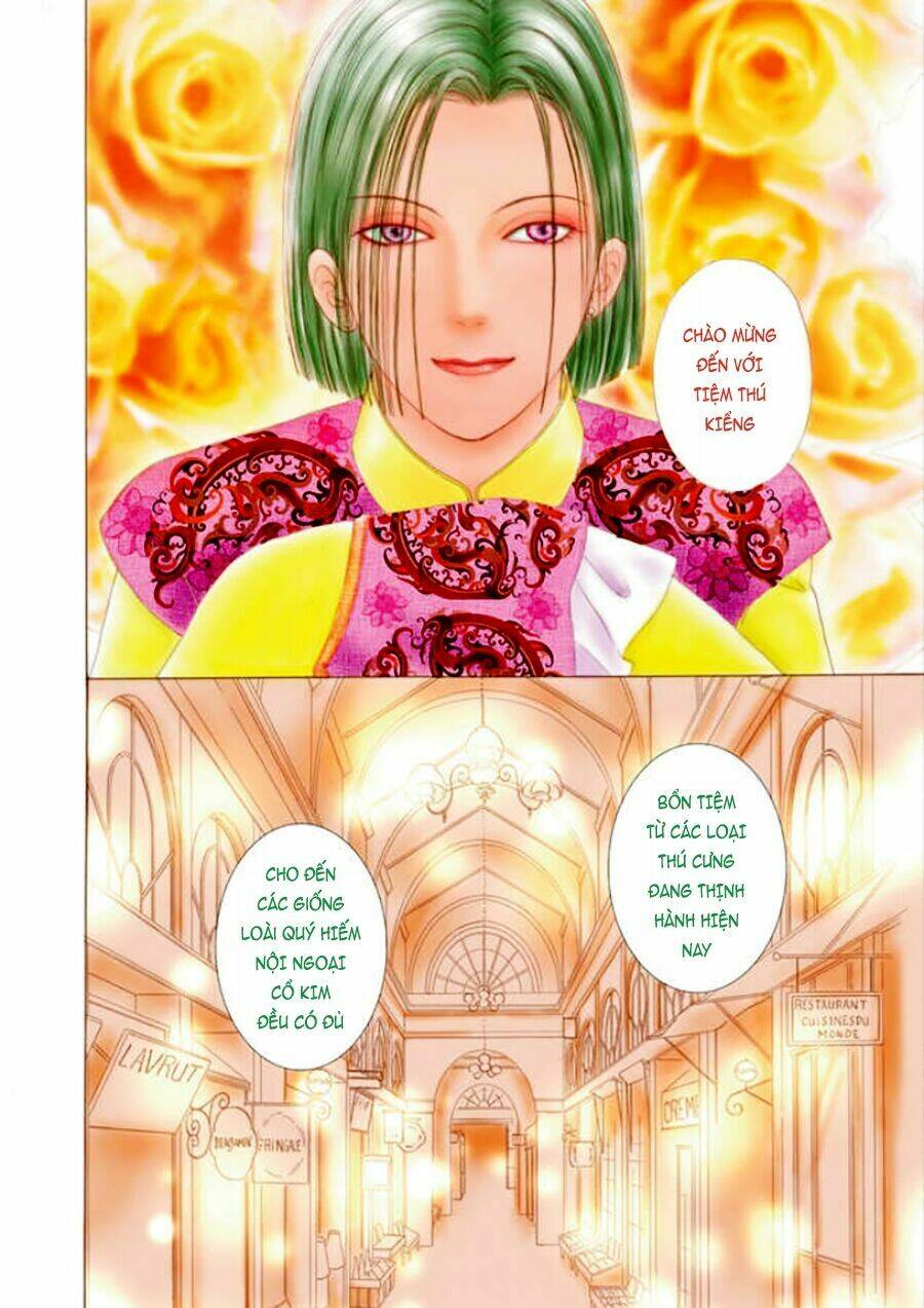 pet shop of horrors - passage-hen : tiệm thú kiểng tiền truyện chapter 1 9