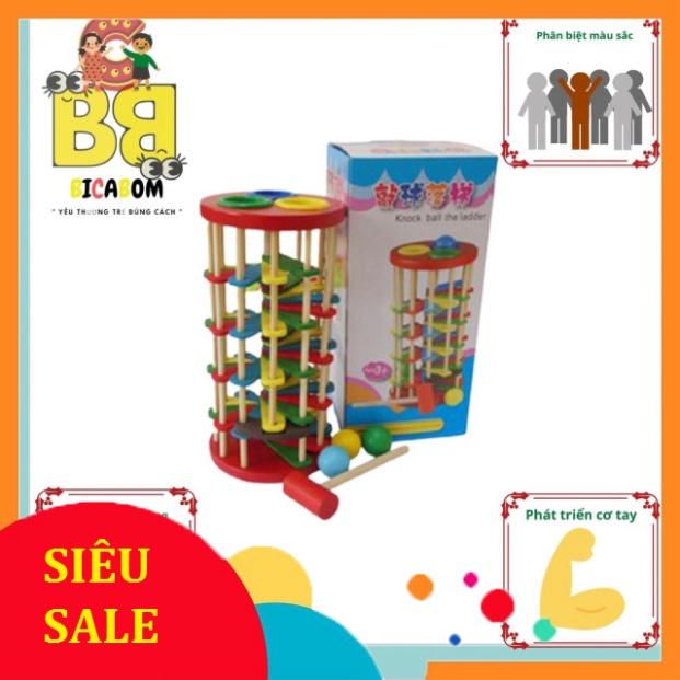 Đồ chơi giáo dục sớm cho bé bằng gỗ đập bi lốc xoáy Bc18