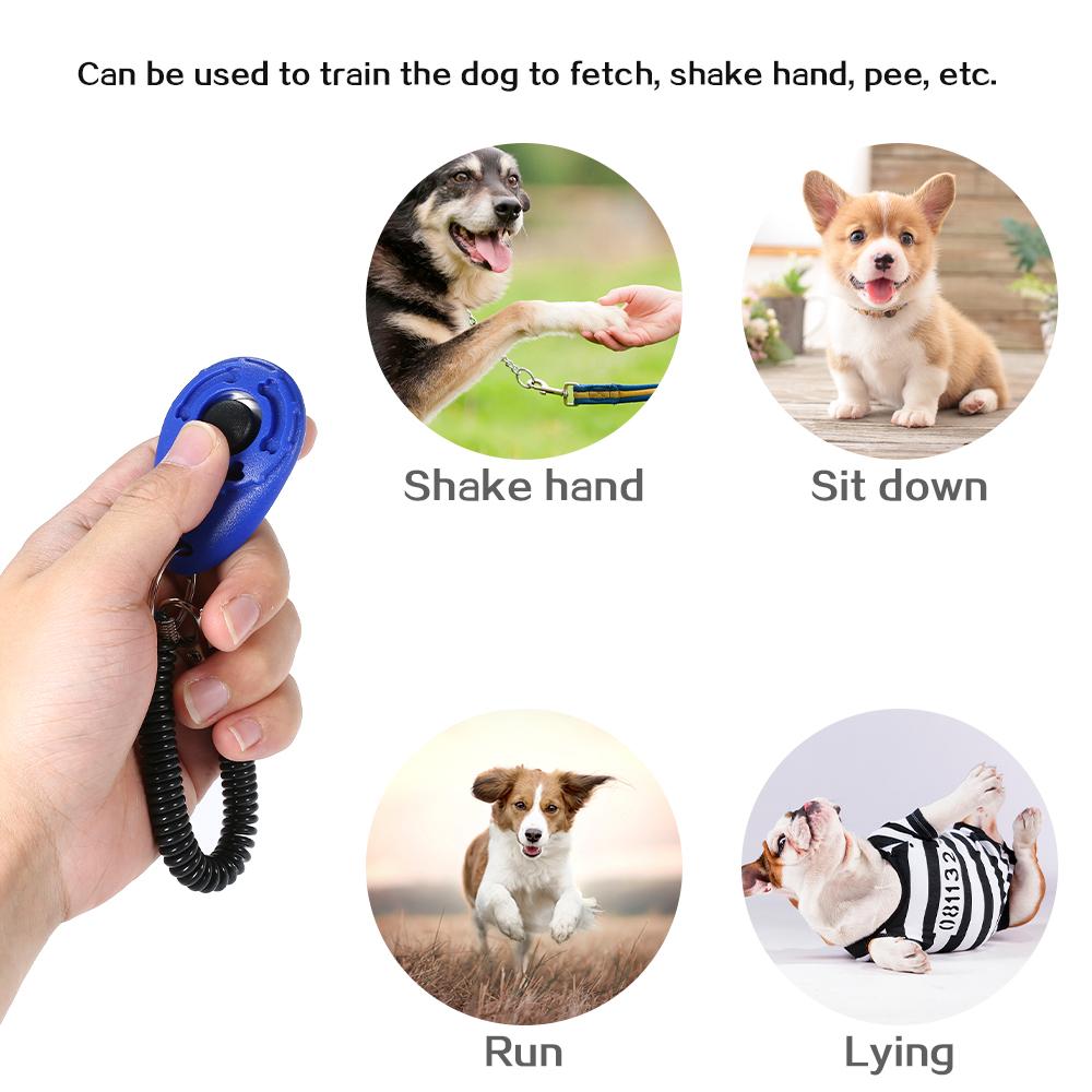 Máy Tập Huấn Luyện Chó Với Dây Đeo Cổ Tay Xoắn Ốc Đàn Hồi Cho Chó