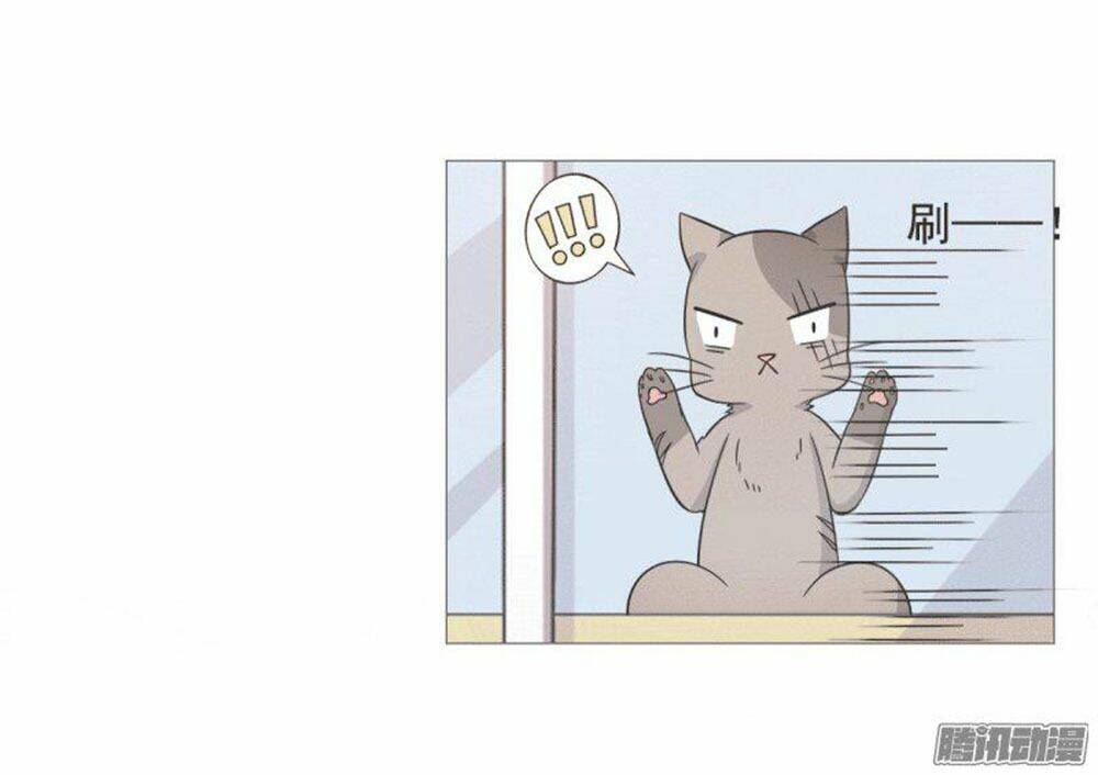 hai chú mèo totem chapter 38 50