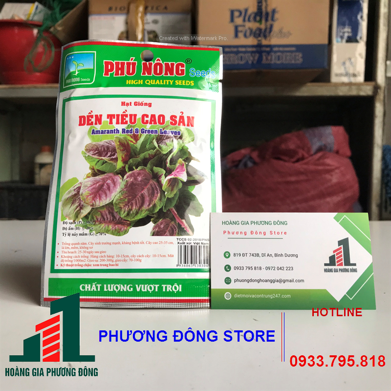 Combo 5-10 gói hạt giống rau dền tiều dễ trồng, chất lượng