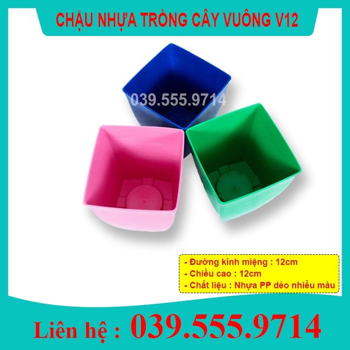 9 Chậu Nhựa V12 Nhiều Màu - Chậu Dày Bền Đẹp