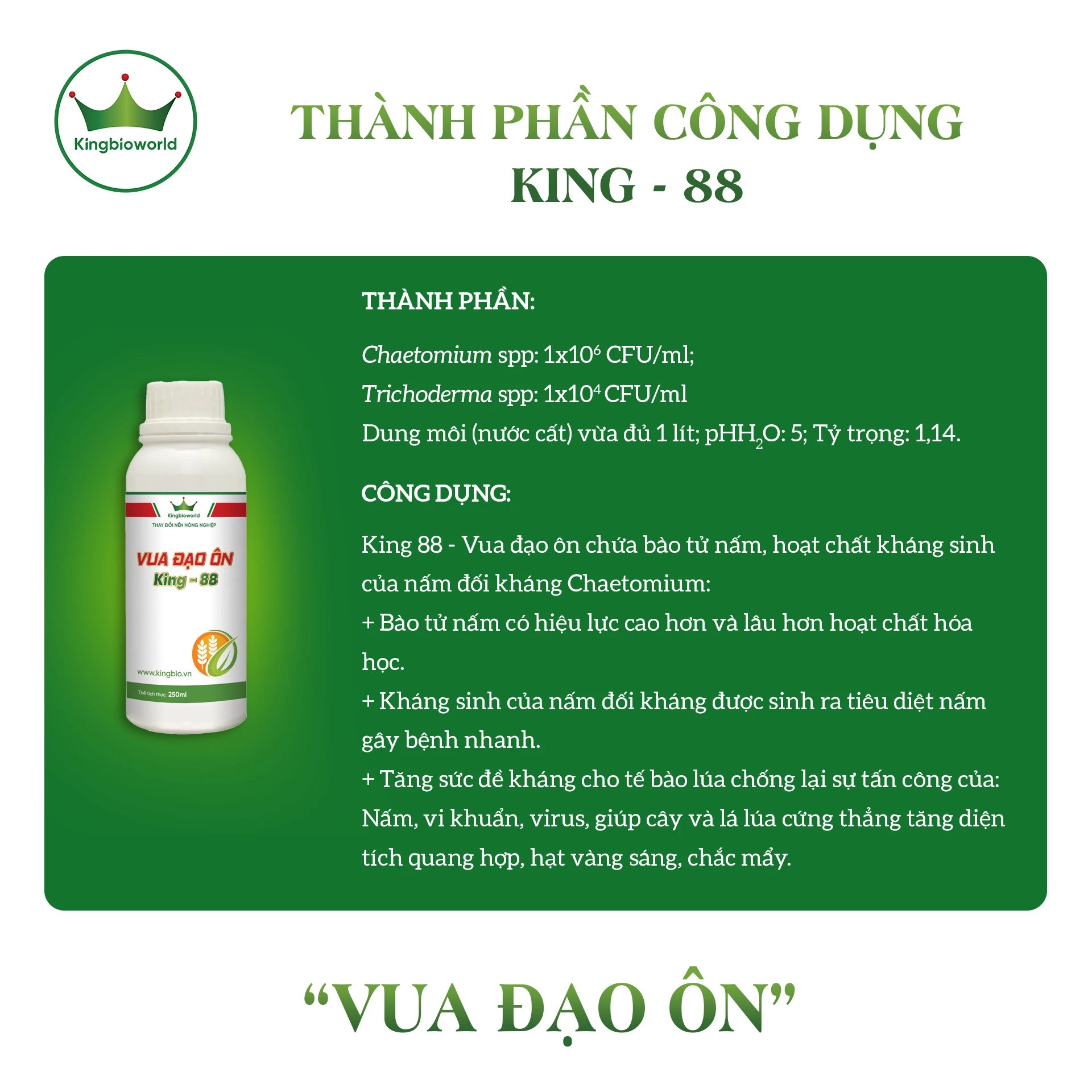 King 88 - vua đạo ôn, phòng trừ và tiêu diệt nấm đạo ôn lá, đạo ôn cổ bông từ sinh học