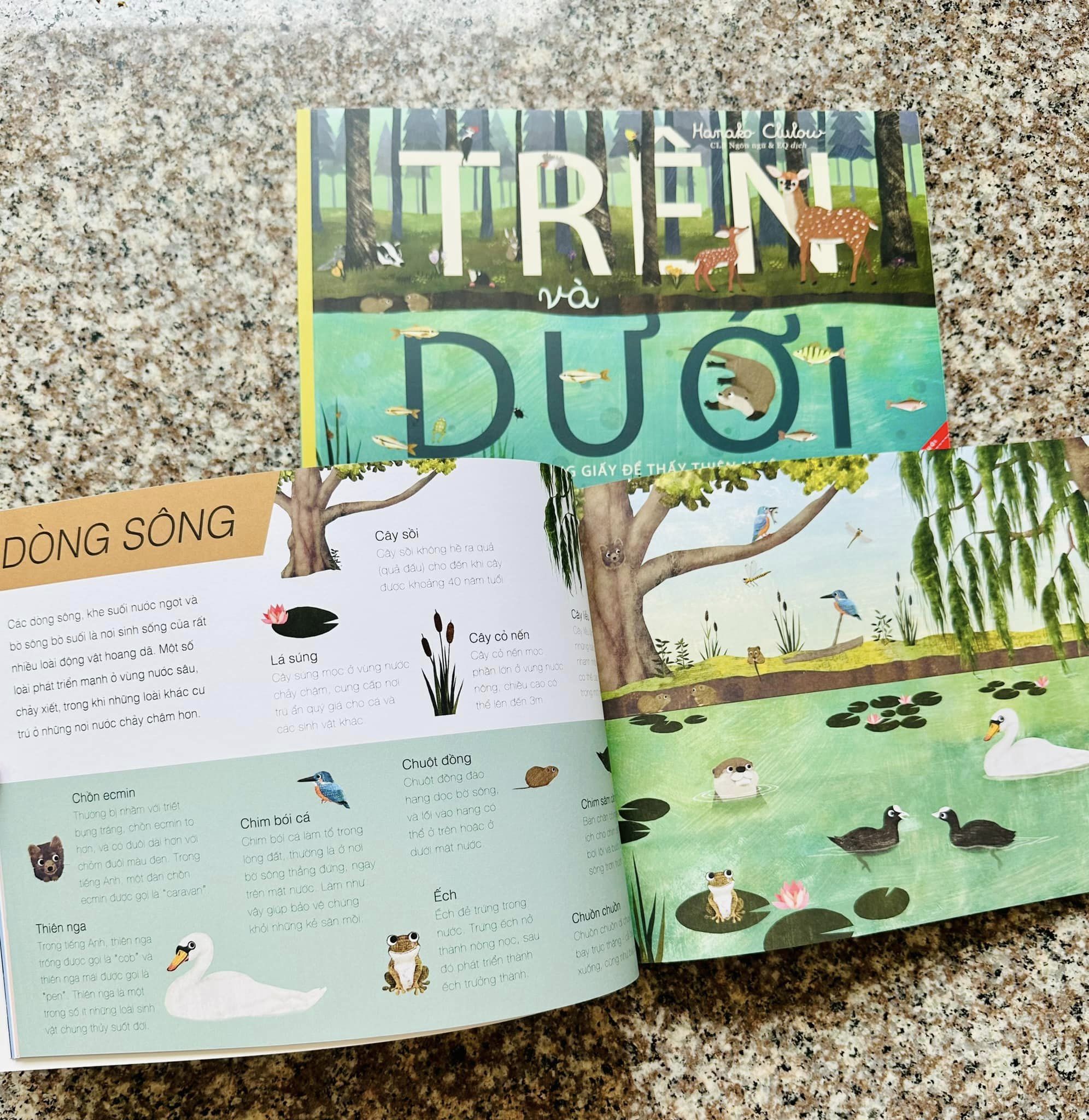 - Trên Và Dưới - Sách Song Ngữ