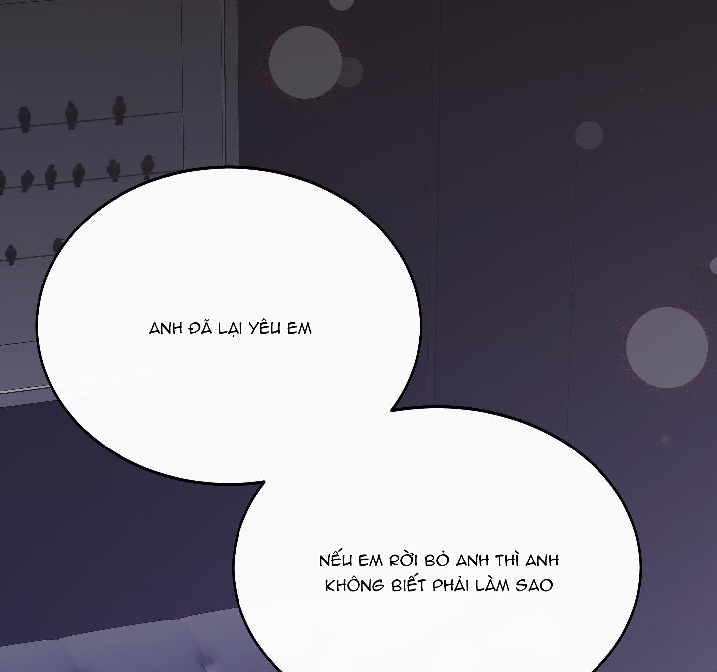 lãng mạn giả dối chapter 22 22