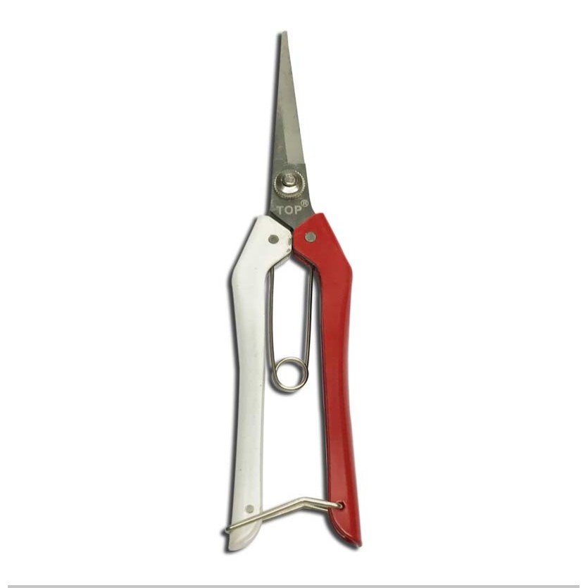 Kéo cắt kiểng nhọn Top KM-NHTDO 8inch - Chính Hãng