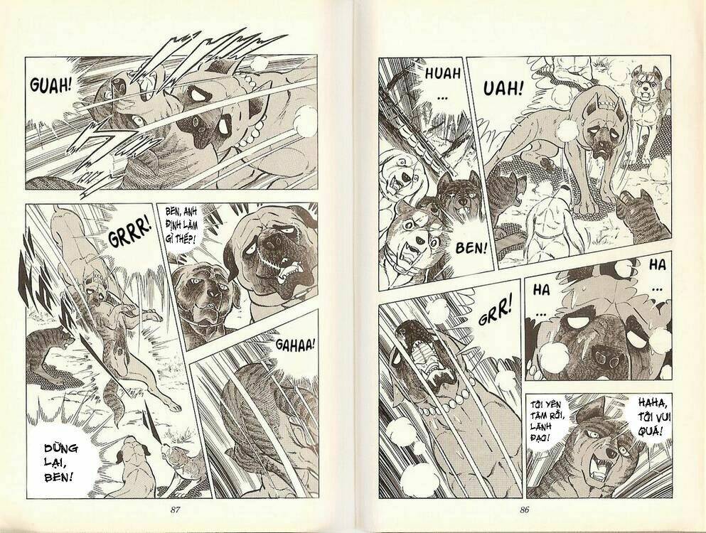 chú chó có nghĩa - ginga nagareboshi gin chapter 19 42