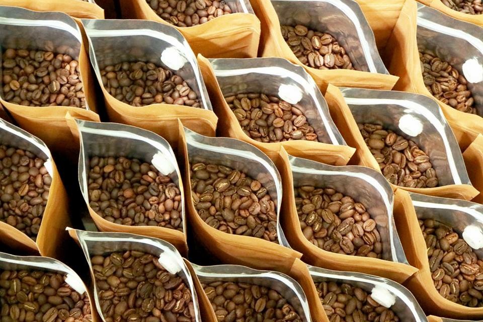Cà phê hạt 100% nguyên chất truyền thống số 2 Coffee Tree 1kg đậm đà, thơm ngon, gu vừa