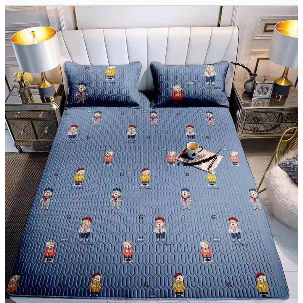 Chiếu Điều Hoà Cao Su Non Mát Lạnh 2D Hàng Nhập Khẩu Cực Đẹp - Mát Mềm Mịn Giá Rẻ - bedding.1210