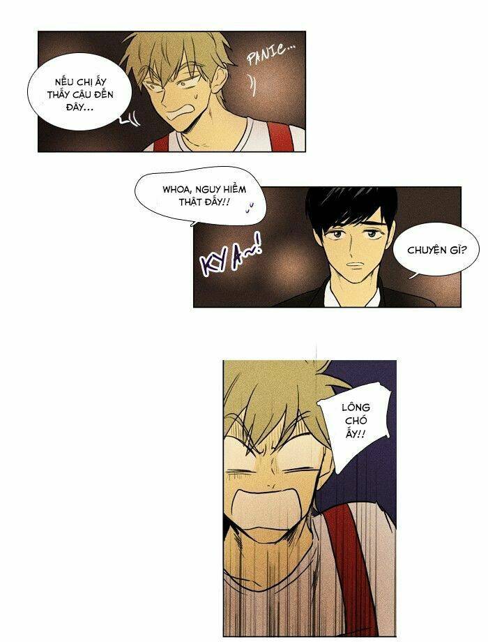 bẫy tình yêu chapter 139 31