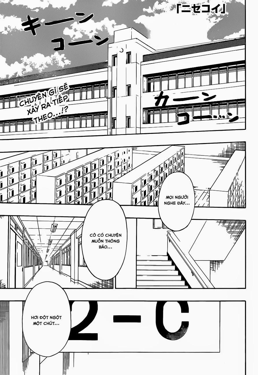 nisekoi - tình yêu giả tạo chapter 157 2