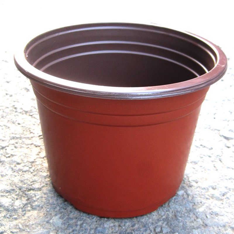 Combo 100 cái Chậu nhựa nâu N18x15cm trồng cây ăn trái và hoa,bền đẹp-77427