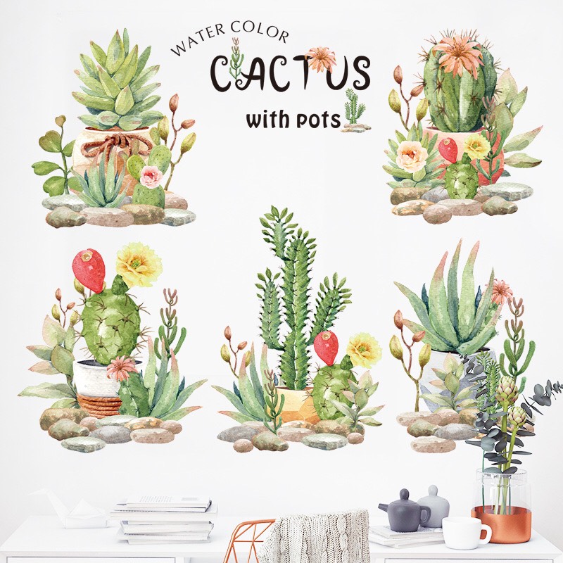 Decal trang trí tường - Những cây xương rồng và sen đá