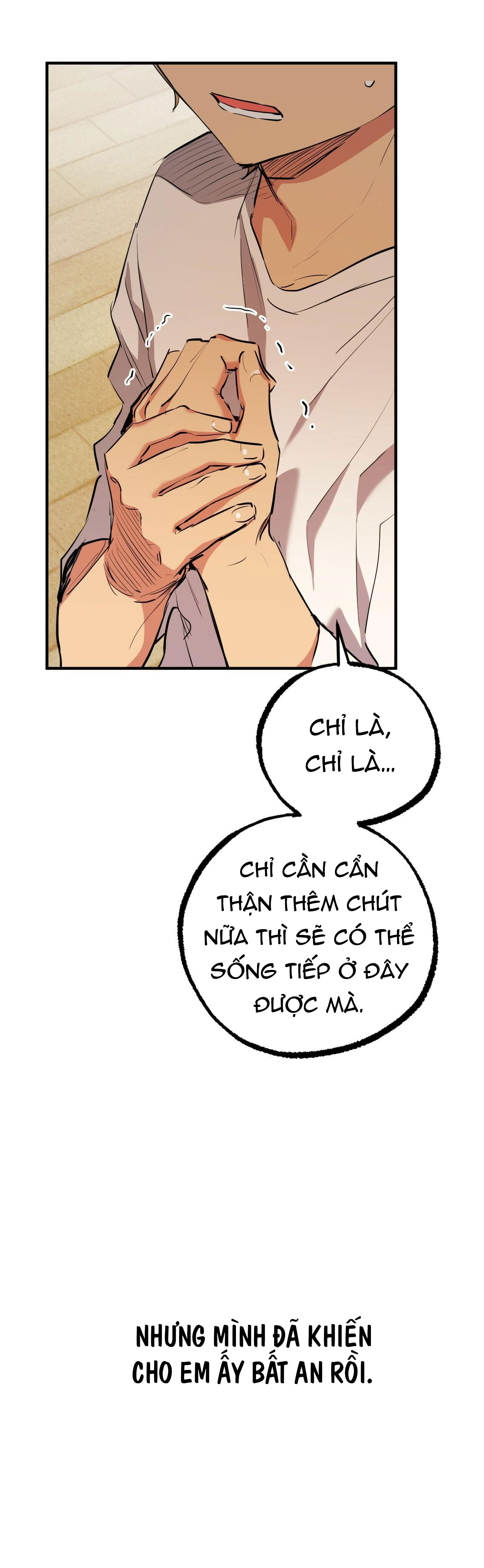 những chú thỏ của hapypy chapter 35 42