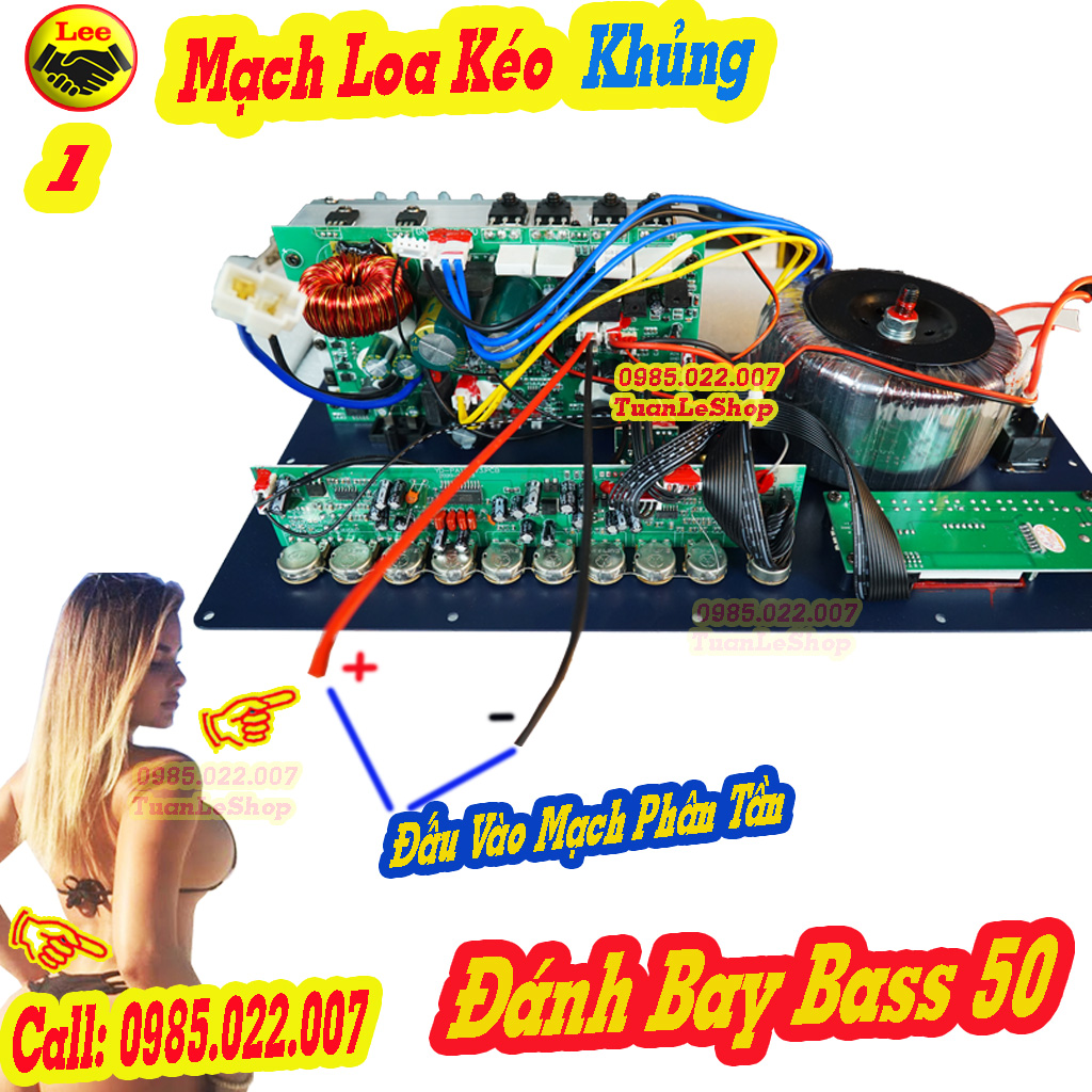 MẠCH LOA KÉO CÔNG SUẤT LỚN KÍCH THƯỚC 38x19 cm – MACH LOA KEO CONG SUAT LON - MẠCH LOA KÉO BASS 50 MAX 900W