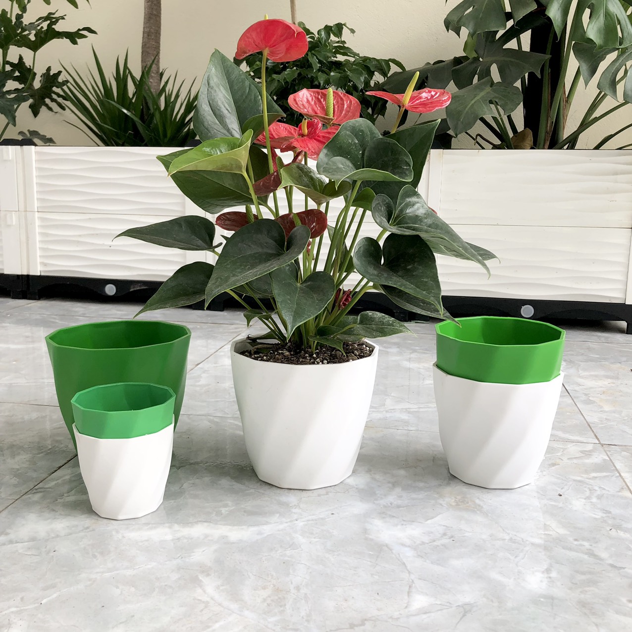 Chậu nhựa trắng cao cấp - Chậu loại dày - Chậu xoắn mini trồng cây trang trí