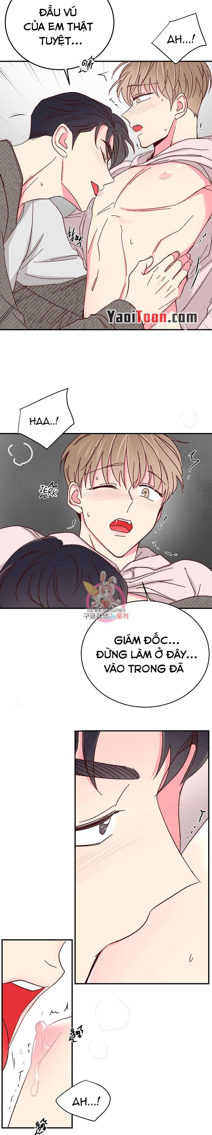 món tráng miệng của sếp tổng chapter 68 11