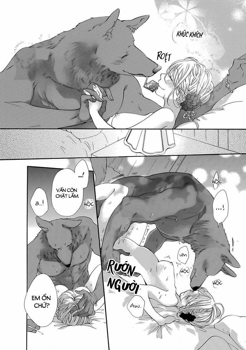 người thú và hana-chan chapter 16 10