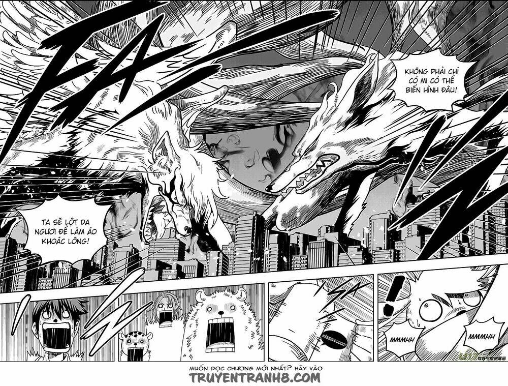 macrophage regulation chapter 7 17