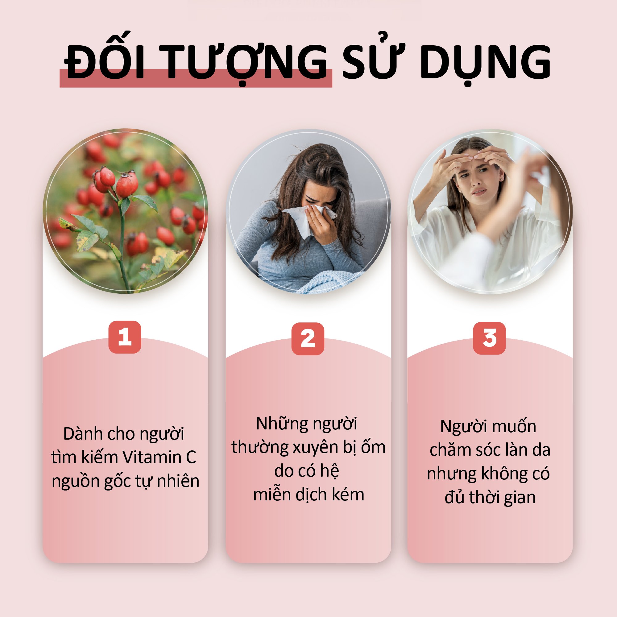 NHẬP KHẨU USA CHÍNH HÃNG - Viên uống bổ sung Vitamin C, tăng sức đề kháng, chống oxy hóa Solgar Vitamin C 500 mg với Dầu Tầm xuân Rose Hips