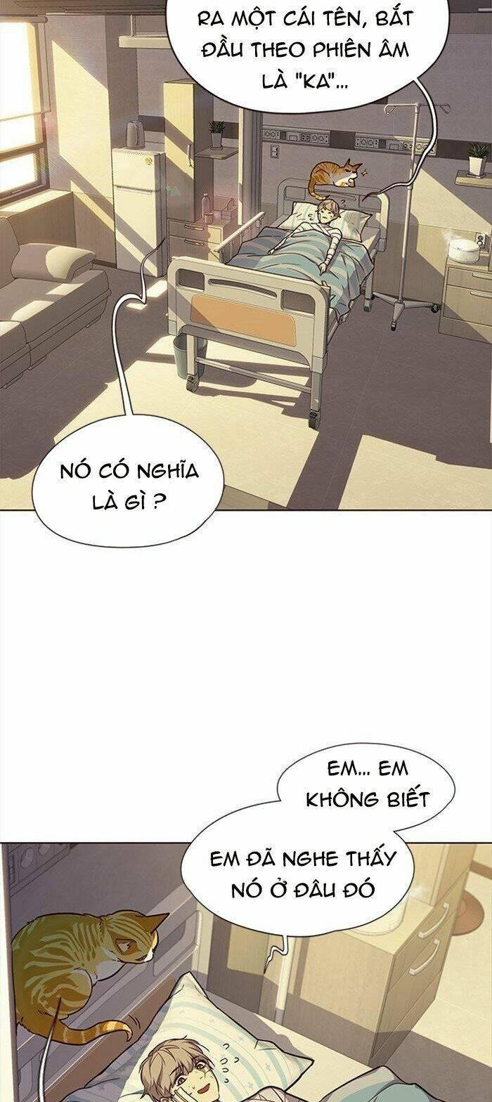 biến thân thành mèo chapter 29 15