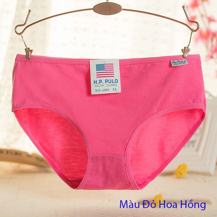 Quần lót cotton mềm mịn DL904B-quần lót nữ cao cấp