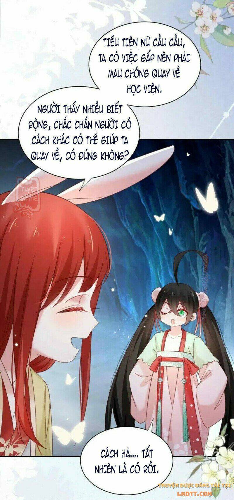 hắc hóa nam chính trực tuyến nuôi thỏ chapter 53 25